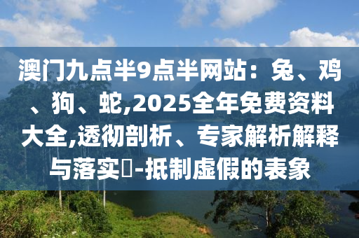 澳門九點(diǎn)半9點(diǎn)半網(wǎng)站：兔、雞、狗、蛇,2025全年免費(fèi)資料大全,透徹剖析、專家解析解釋與落實(shí)?-抵制虛假的表象